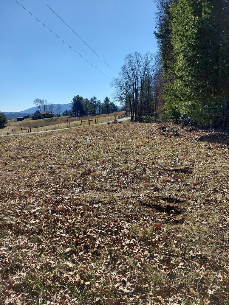 6 Wolfpen Ridge Road Galax, VA 24333 - Photo 1 of 18 Gallery Image 1
