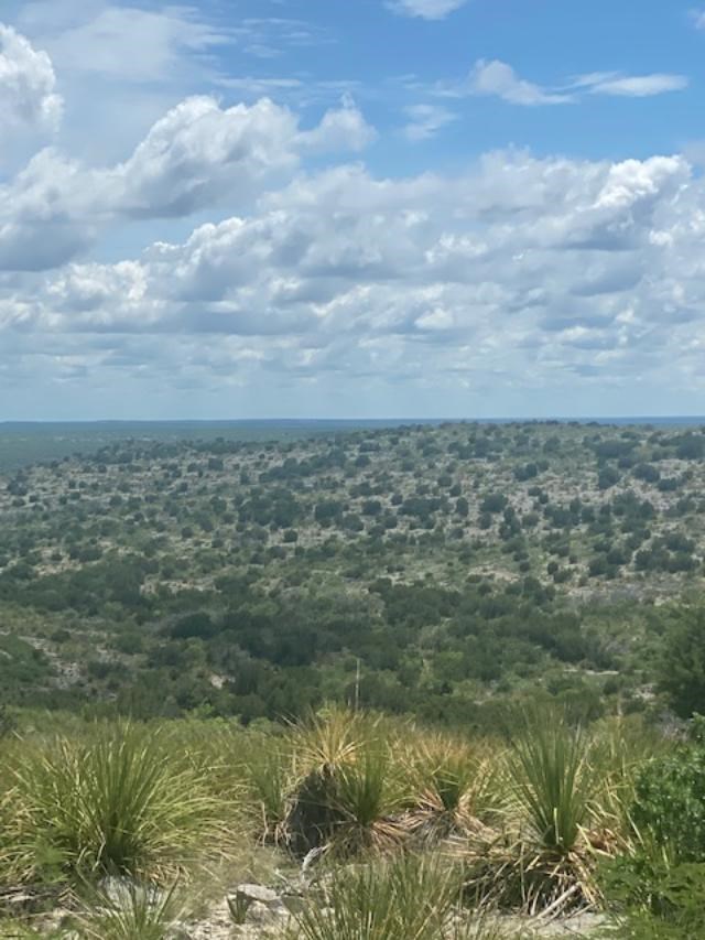 13955 Ranch Road 2523 Del Rio, TX 78840 - Photo 8 of 77