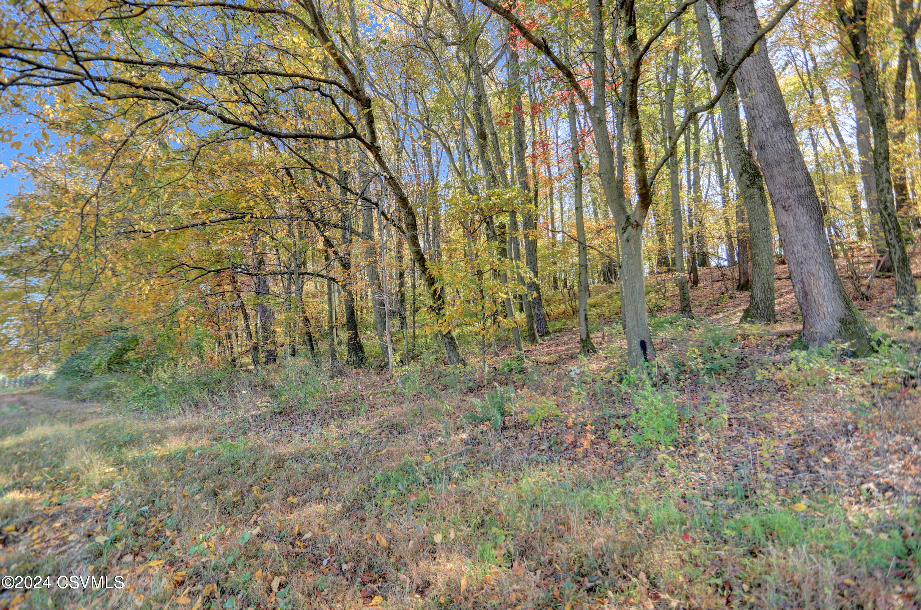 3 Parcel 00 Church Road Selinsgrove, PA 17870 - Photo 9 of 22 Gallery Image 9