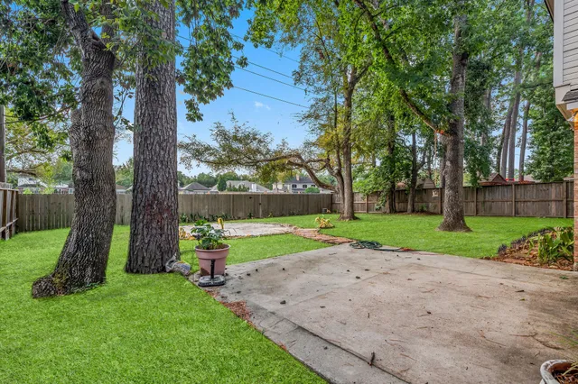 a view of a park with large trees
