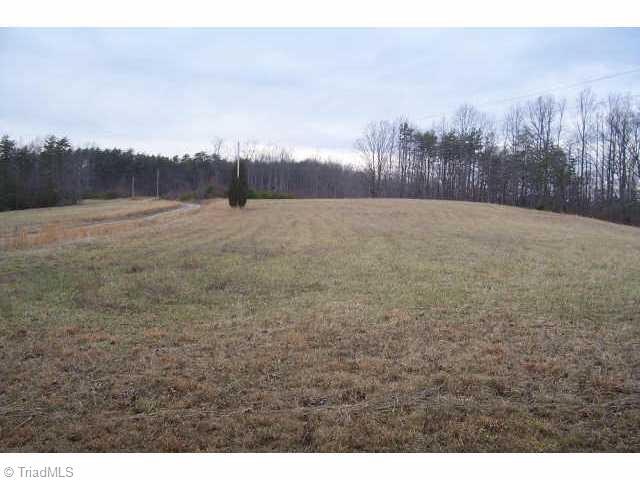 1205 Farm Road Pinnacle, NC 27043 - Photo 5 of 5 Other.