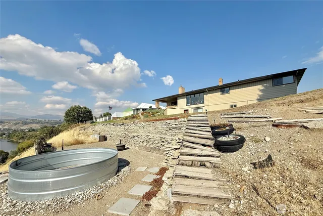 a row of trees and grassy field