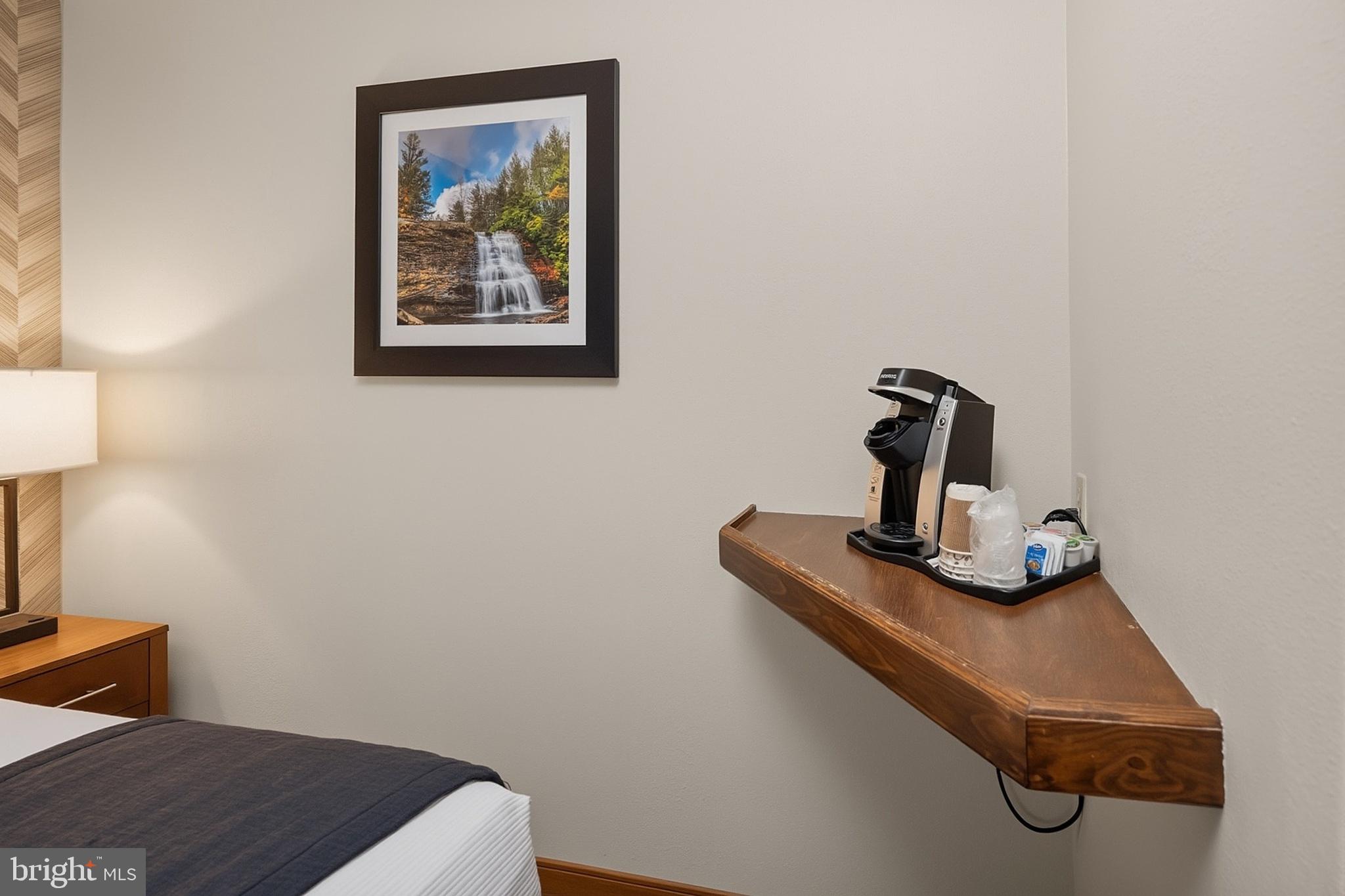 290 Marsh Hill Road, Unit 706 McHenry, MD 21541 - Photo 8 of 39