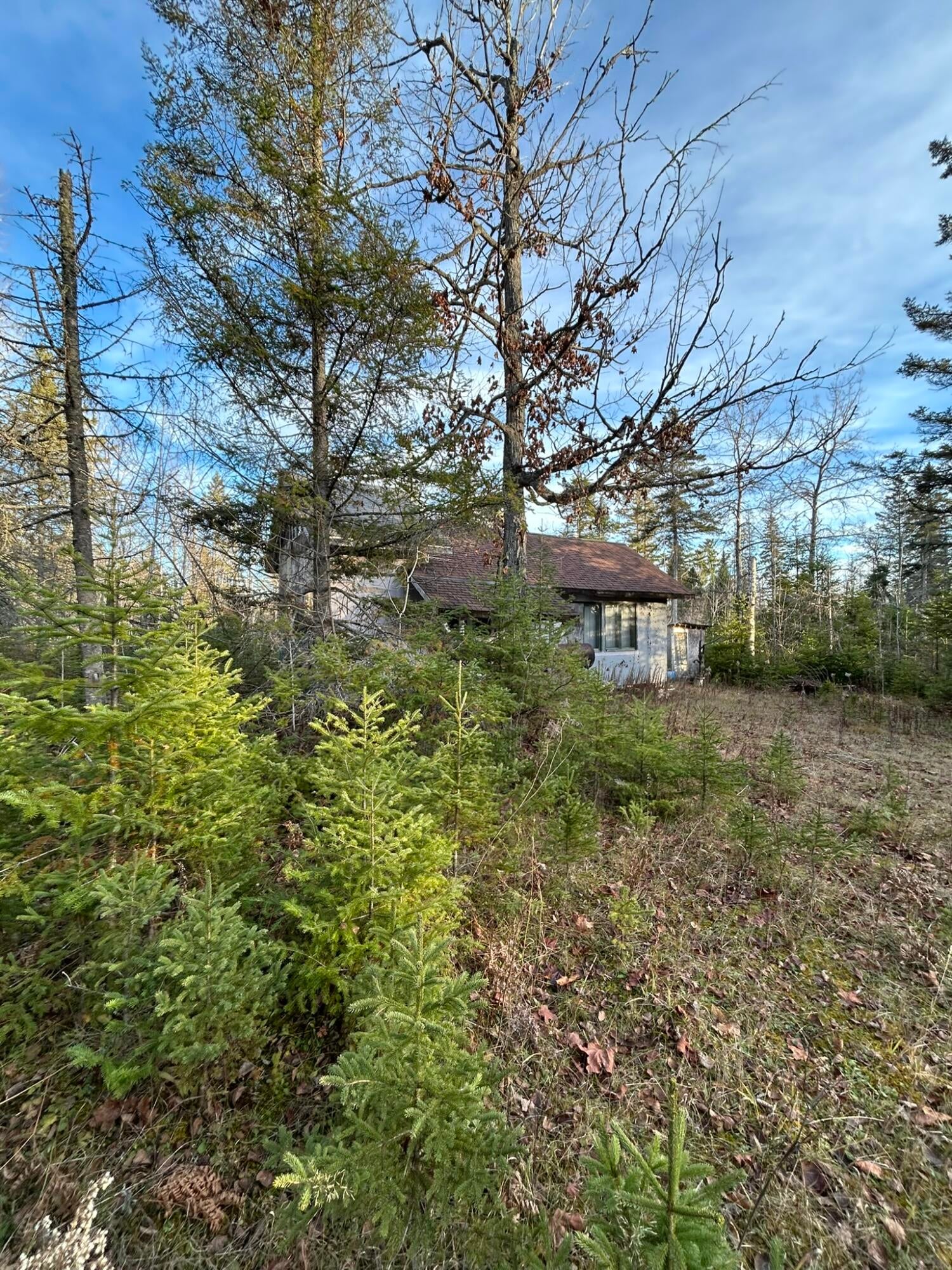 7146 Mackinac Trail Rudyard, MI 49780 - Photo 32 of 35 Interior of Woods 6