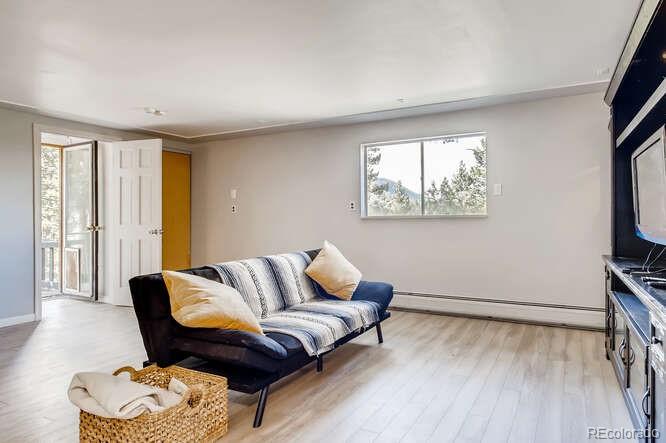10148 South Turkey Creek Road Morrison, CO 80465 - Photo 29 of 50 a living room with furniture and a flat screen tv