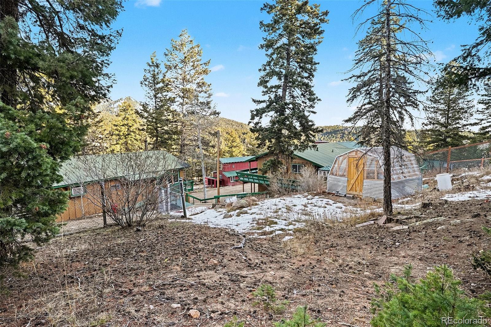 10148 South Turkey Creek Road Morrison, CO 80465 - Photo 40 of 50 a view of a backyard with a tree