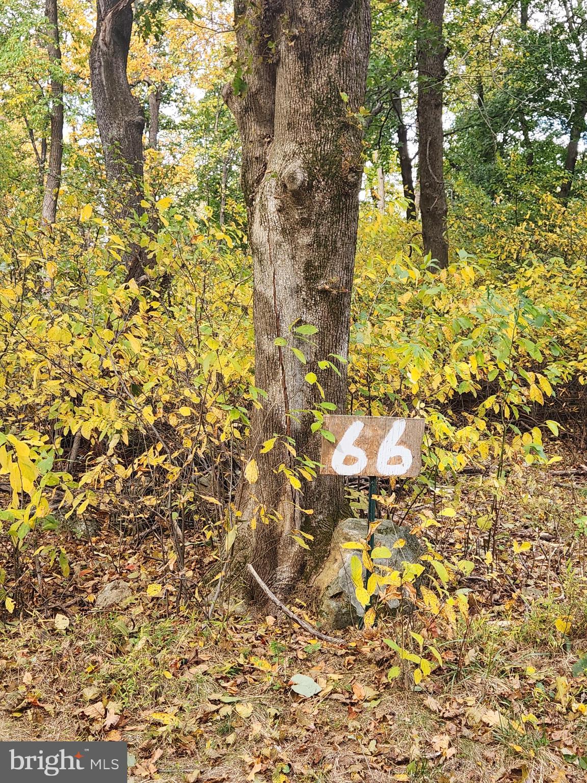 66 Mountaintop Road Cascade, MD 21719 - Photo 8 of 8 Build your DREAM HOME