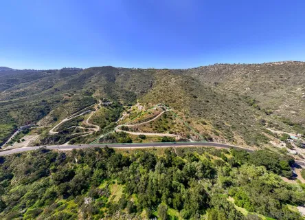 an aerial view of houses covered in trees