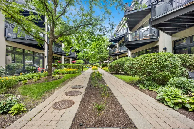 $2,750 | 1111 West 15th Street, Unit 224, Chicago, IL 60608