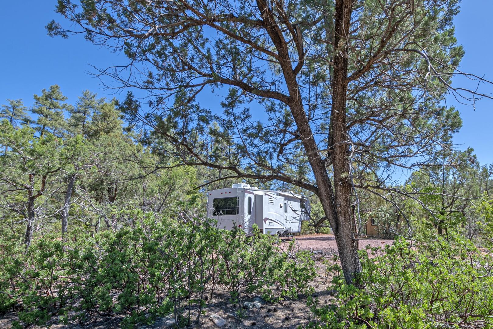 470 Pine Rd Pine Payson, AZ 85541 - Photo 4 of 17