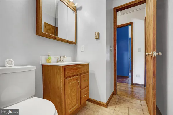 a bathroom with a sink a toilet and mirror