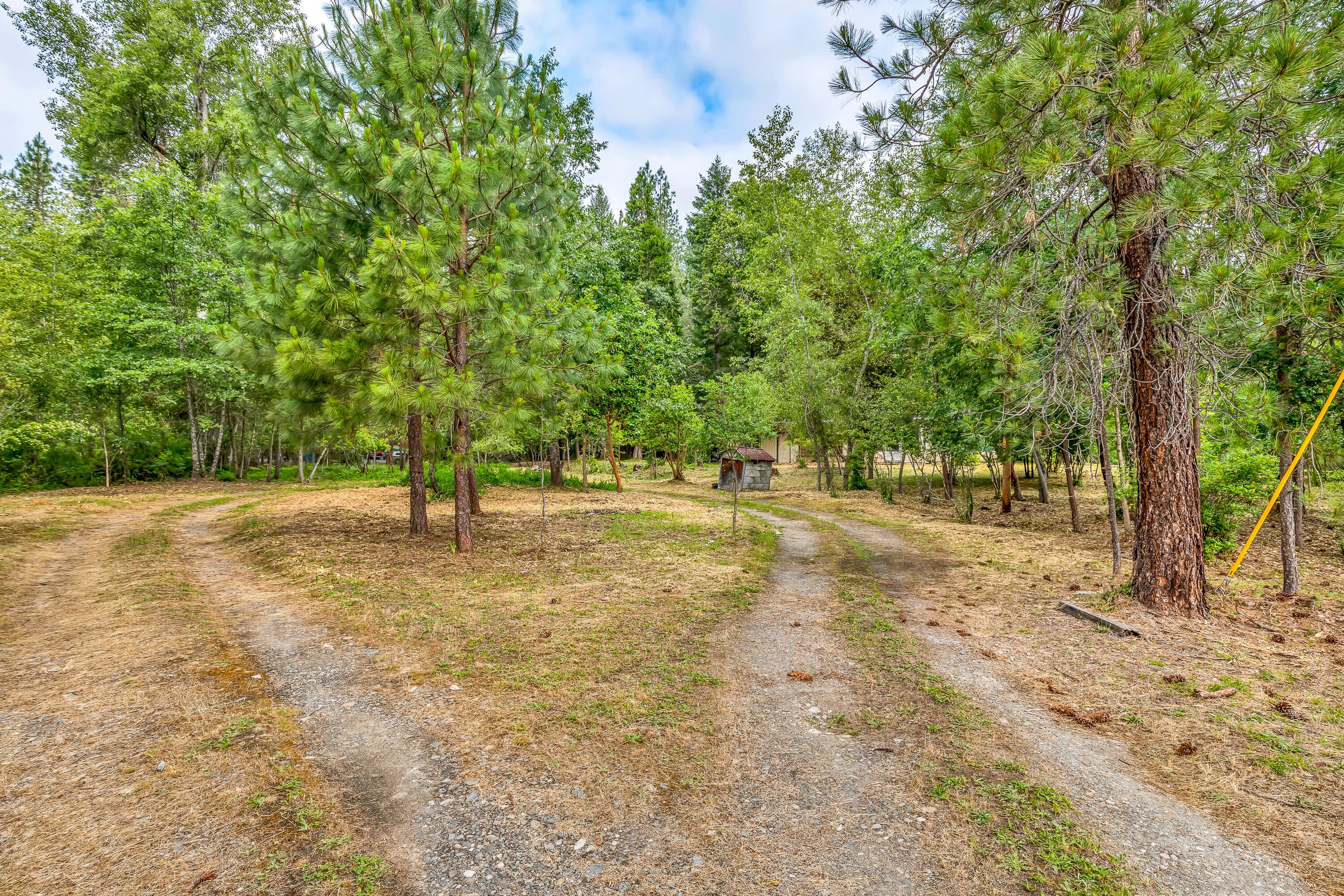 640 Minthorne Road Rogue River, OR 97537 - Photo 13 of 28 9R9A7199