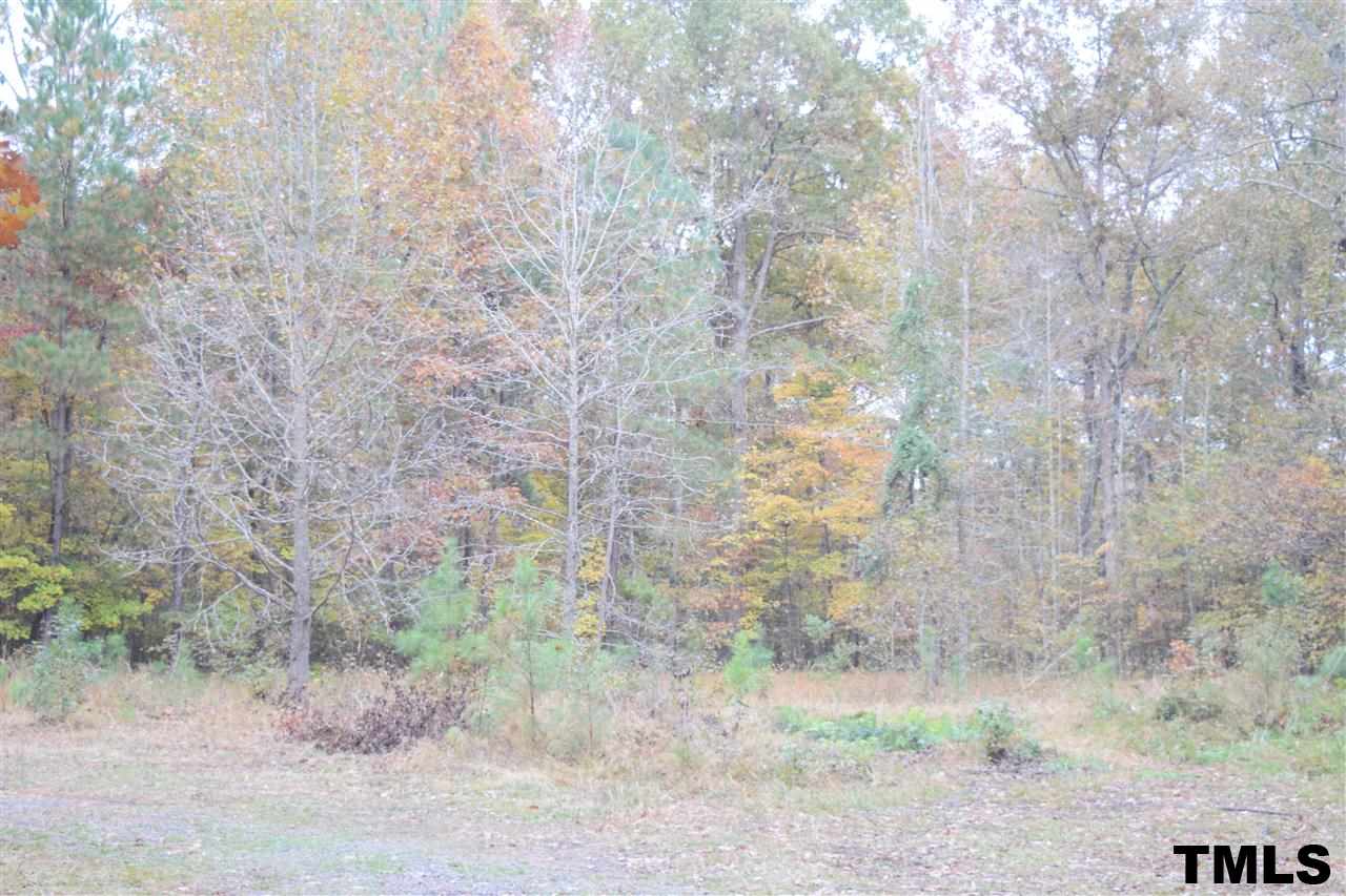 797 Northern Ranches Road Sanford, NC 27330 - Photo 4 of 16 Gallery Image 4