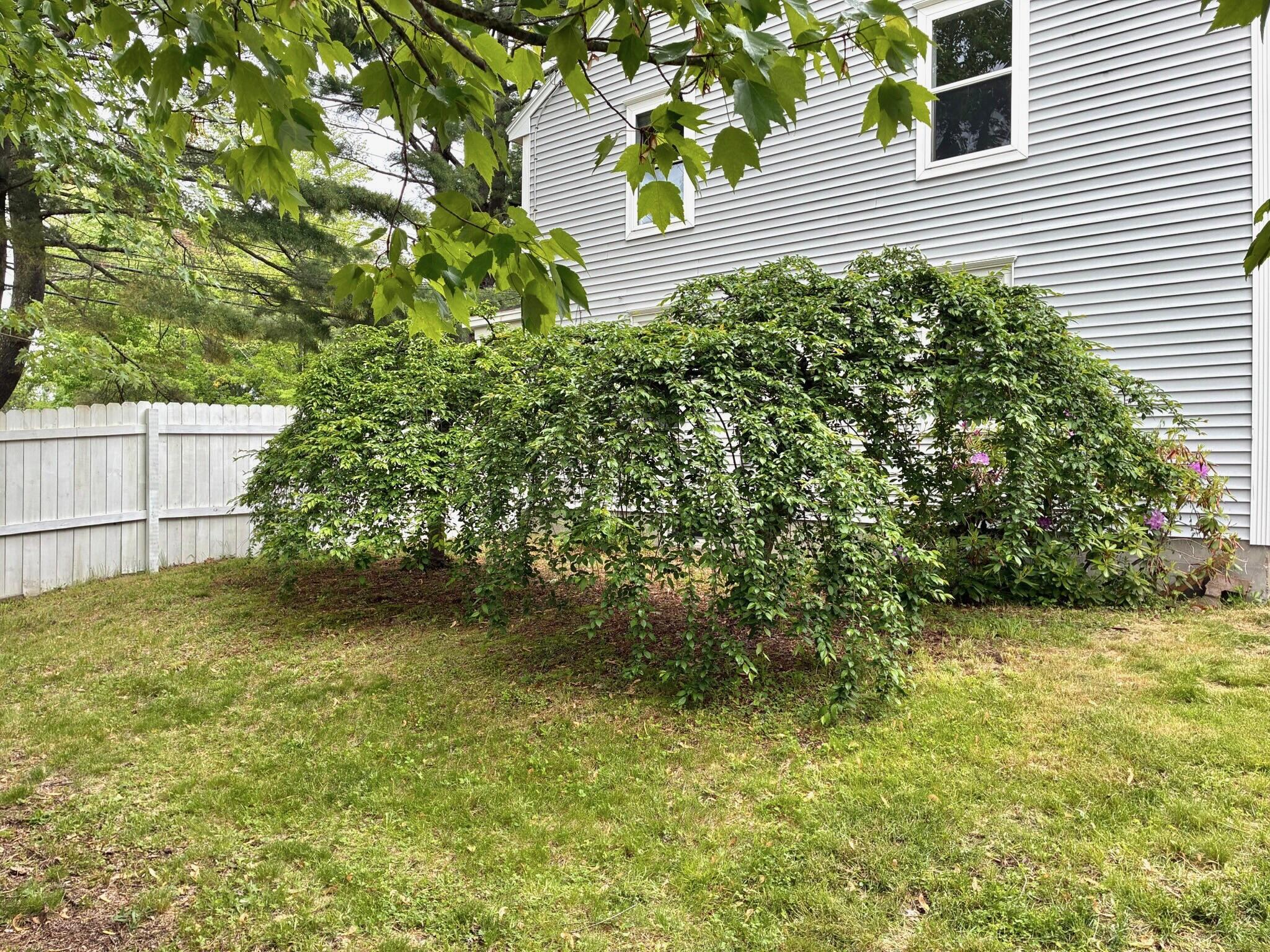 324 North Street Saco, ME 04072 - Photo 22 of 23 22 - Backyard 2