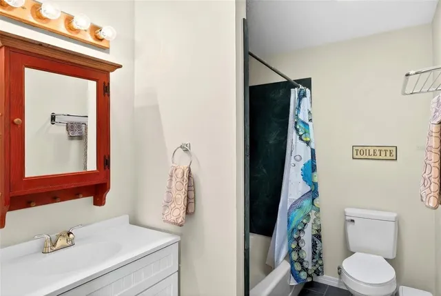 a bathroom with a sink toilet and mirror