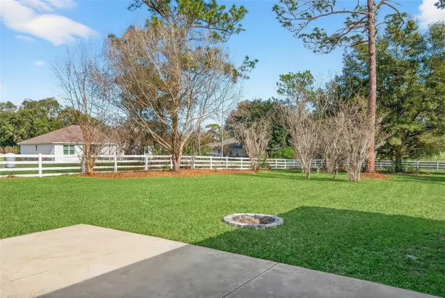 a view of a park with large trees