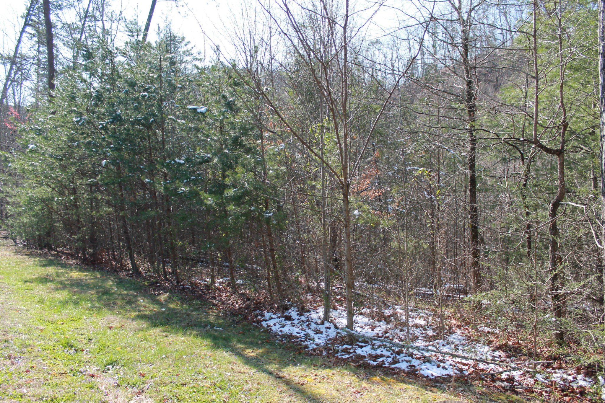 89 Smoky Cove Road Sevierville, TN 37876 - Photo 5 of 9 Gallery Image 5