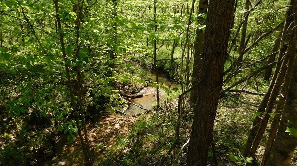 0 Lee's Ridge Road Martinsville, VA 24112 - Photo 9 of 26 Gallery Image 9