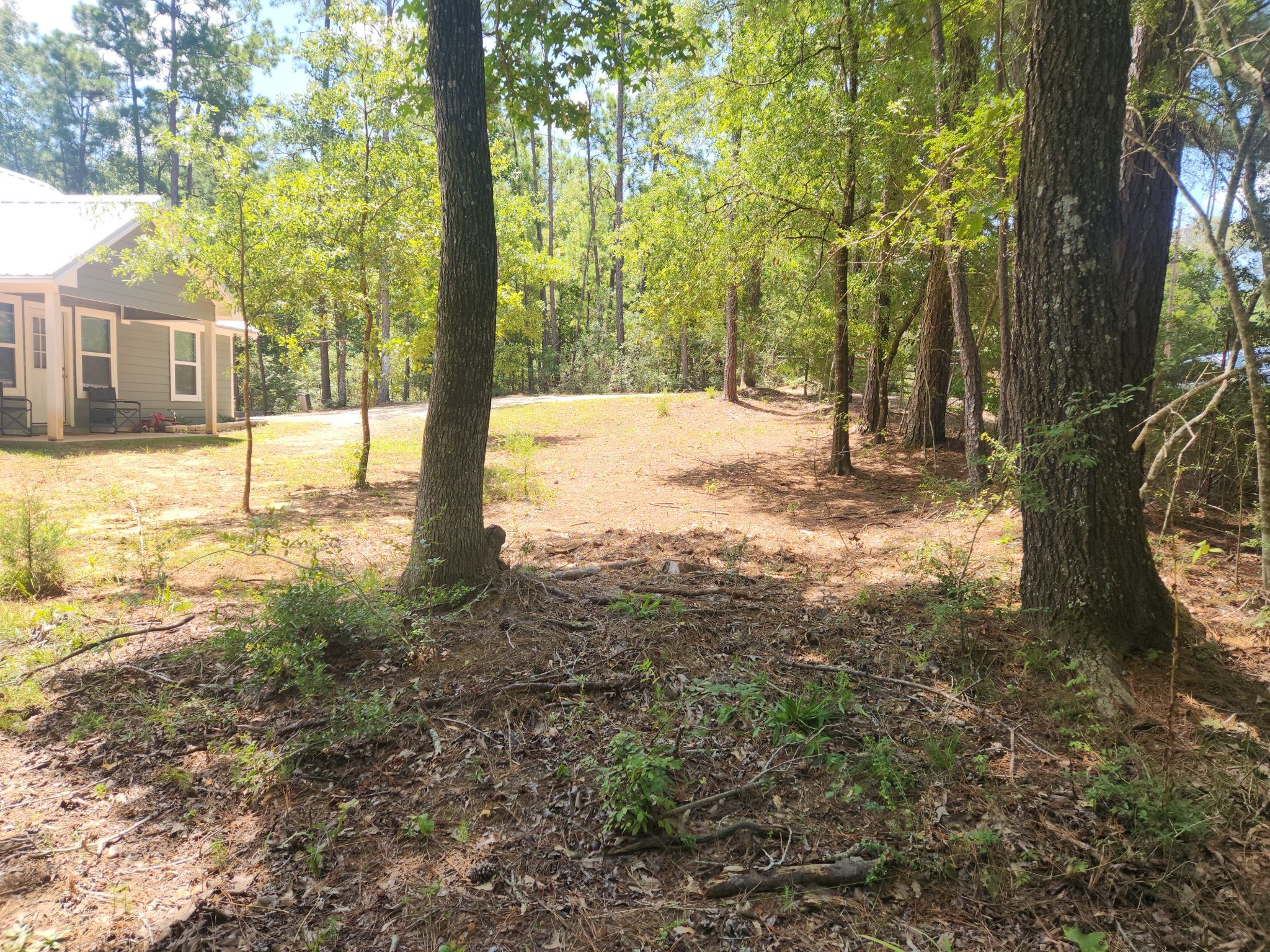 281 West Sierra Road Coldspring, TX 77331 - Photo 39 of 45
