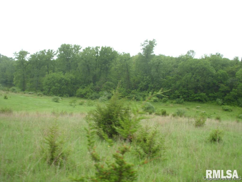 761 Trones Road Meredosia, IL 62665 - Photo 16 of 27