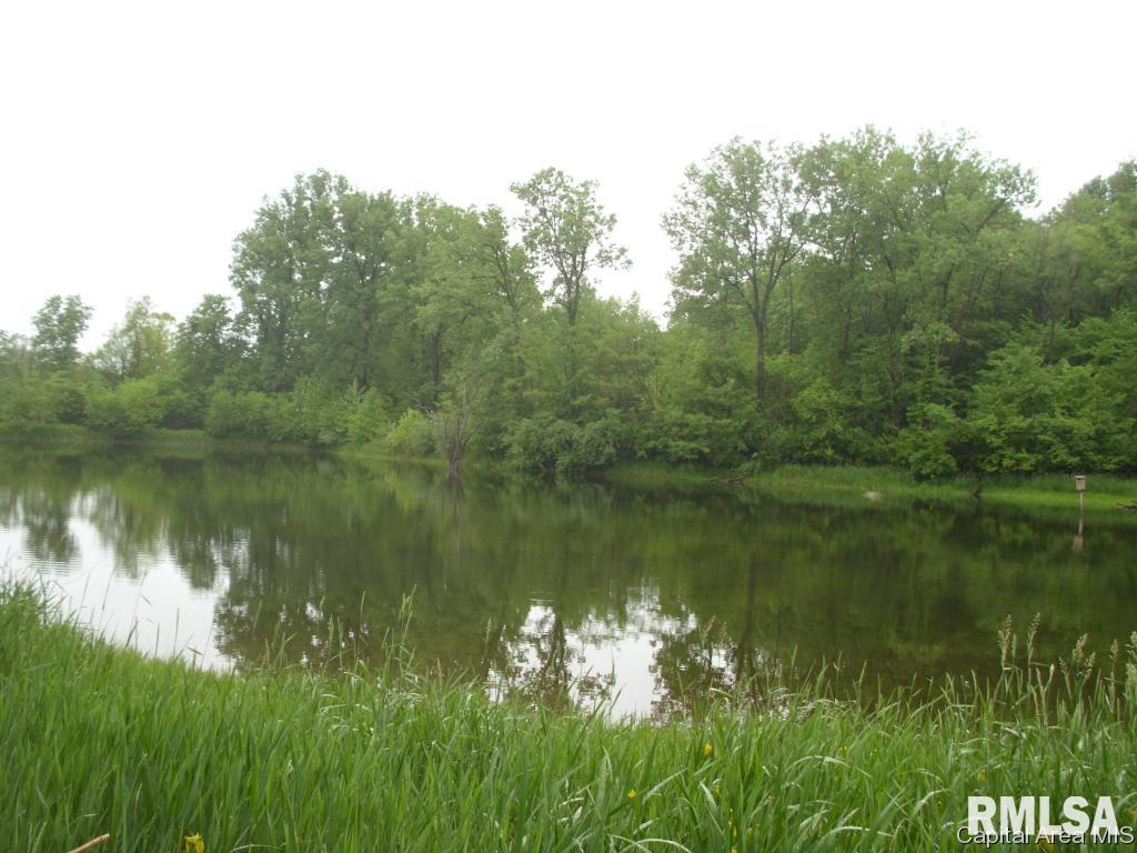 761 Trones Road Meredosia, IL 62665 - Photo 19 of 27