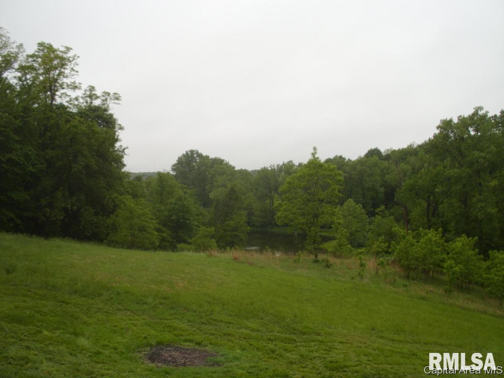 761 Trones Road Meredosia, IL 62665 - Photo 2 of 27