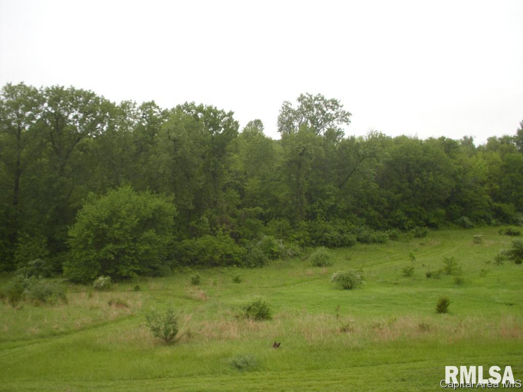 761 Trones Road Meredosia, IL 62665 - Photo 3 of 27