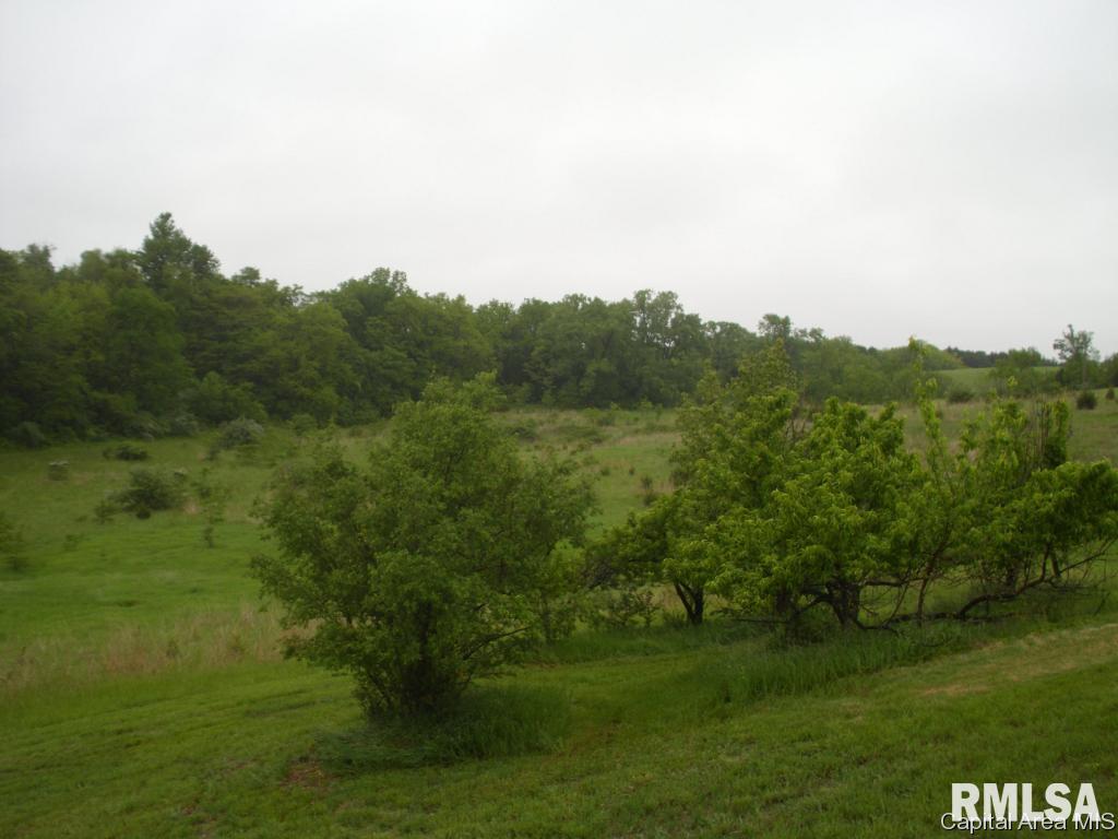761 Trones Road Meredosia, IL 62665 - Photo 4 of 27