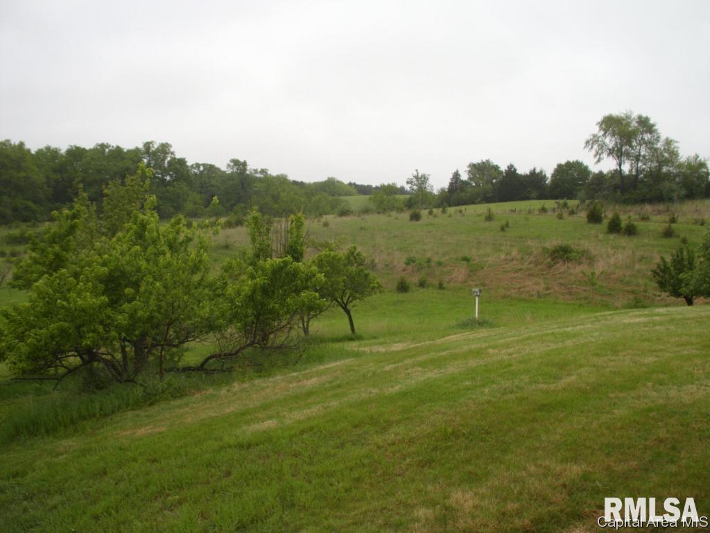 761 Trones Road Meredosia, IL 62665 - Photo 5 of 27