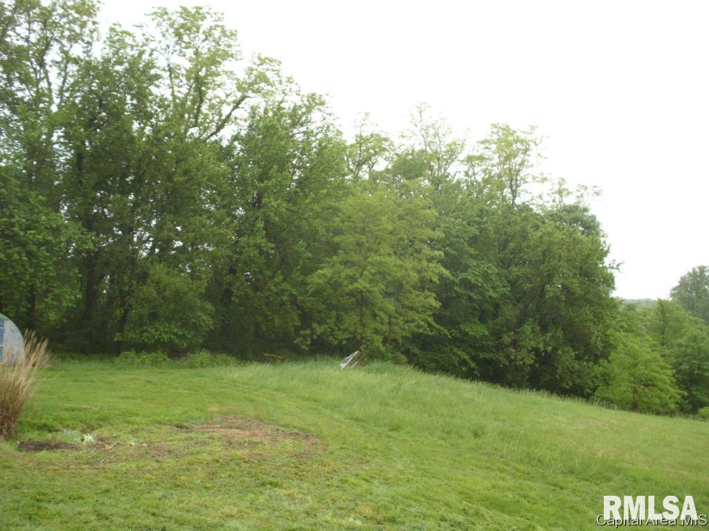 761 Trones Road Meredosia, IL 62665 - Photo 6 of 27