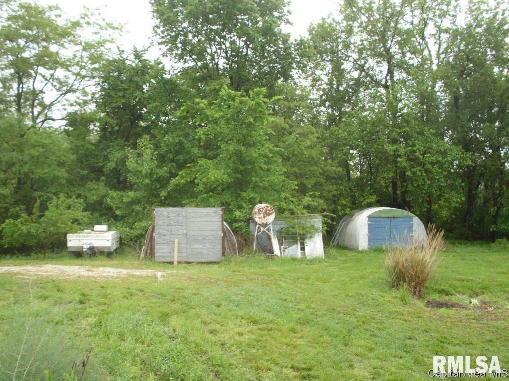 761 Trones Road Meredosia, IL 62665 - Photo 7 of 27