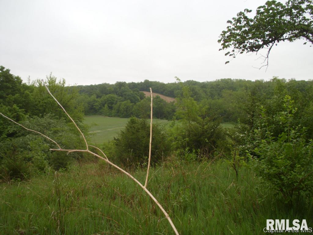 761 Trones Road Meredosia, IL 62665 - Photo 10 of 27