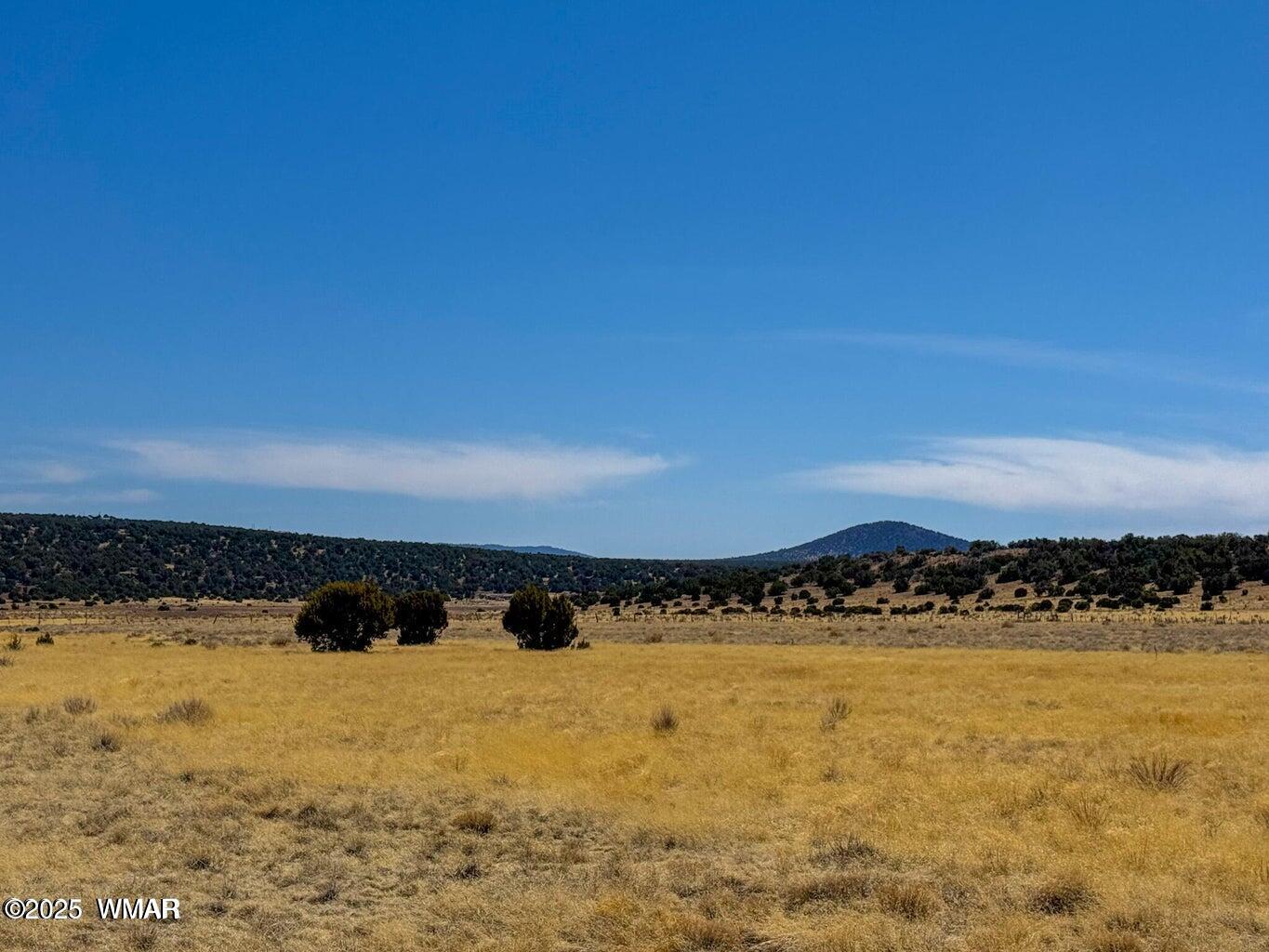 58-136 County Road Concho, AZ 85924 - Photo 1 of 1 20250417224516366764000000-o