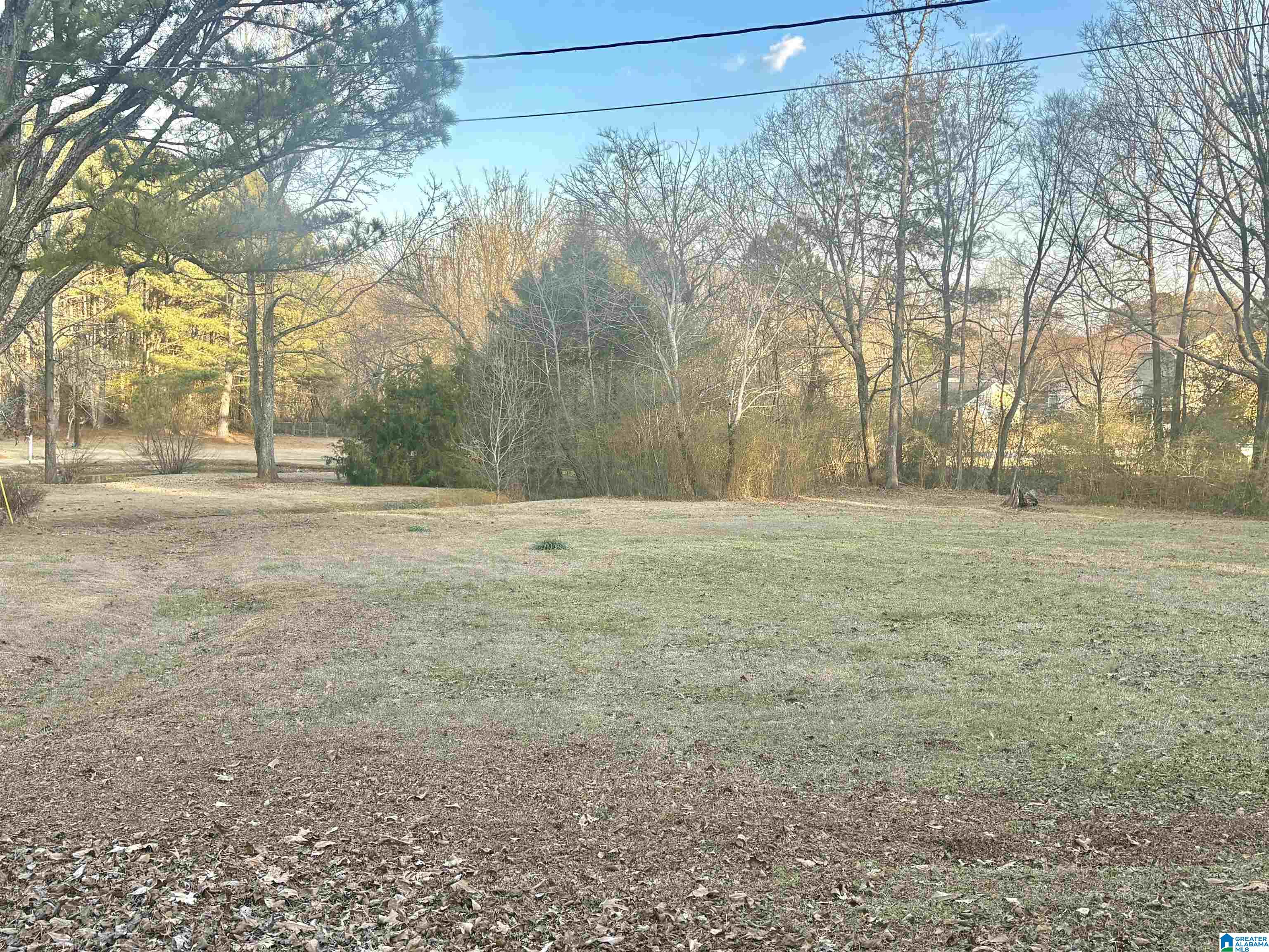 30 Elizabeth Lane Springville, AL 35146 - Photo 2 of 21 Gallery Image 2