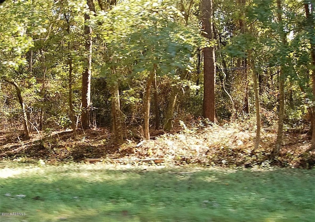 169 Laurel Bay Road Beaufort, SC 29906 - Photo 3 of 4