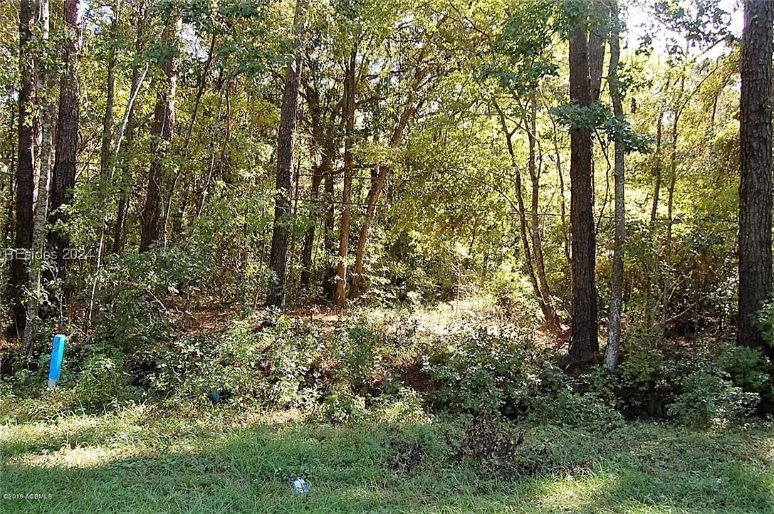 169 Laurel Bay Road Beaufort, SC 29906 - Photo 4 of 4