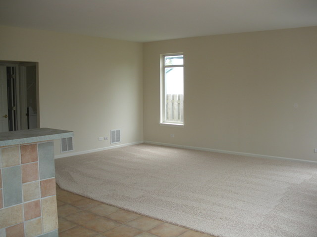 241 Ellis Road Lake In The Hills, IL 60156 - Photo 7 of 20