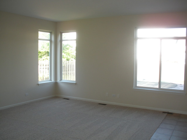 241 Ellis Road Lake In The Hills, IL 60156 - Photo 8 of 20