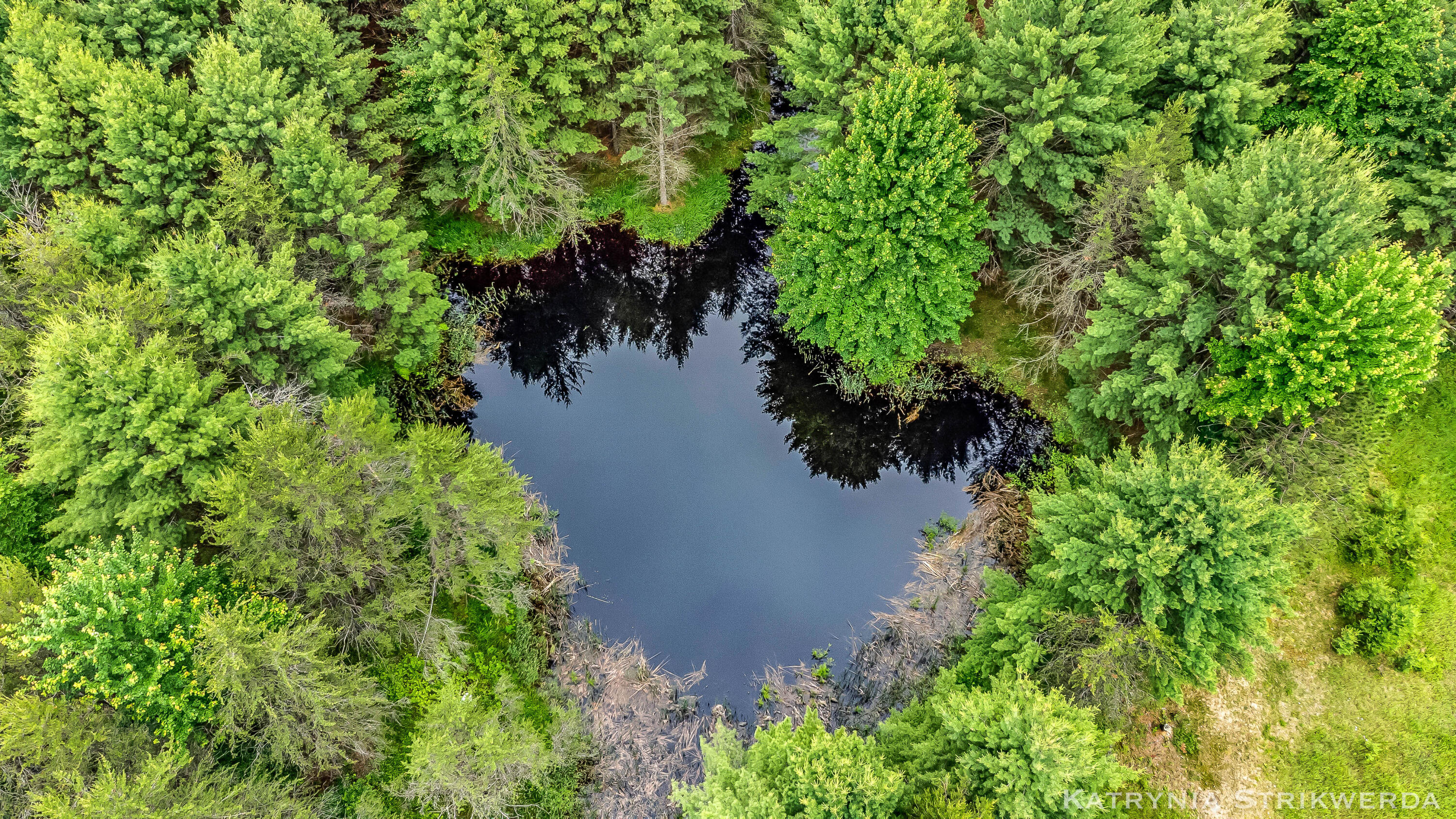 V/l East Kinney Road Branch, MI 49402 - Photo 12 of 41 DJI_0182_1