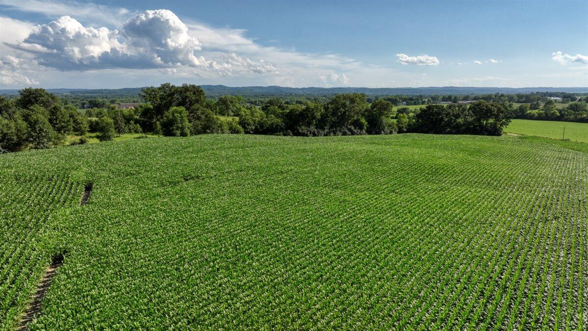 0 Hammer Road Sparta, WI 54656 - Photo 11 of 61 10-DJI_0670_10