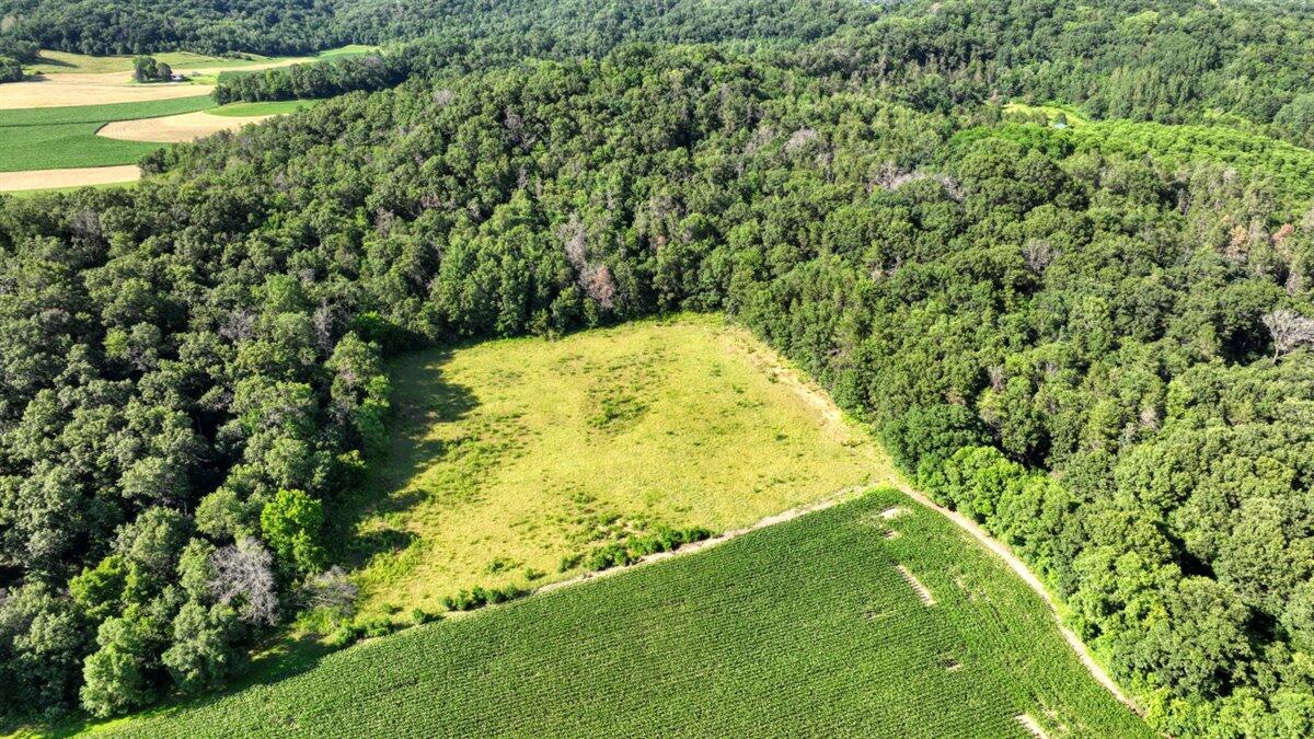 0 Hammer Road Sparta, WI 54656 - Photo 16 of 61 15-DJI_0701_15