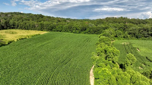 $1,476,000 | 0 Hammer Road, Sparta, WI 54656