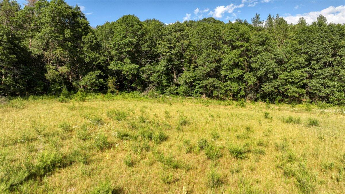 0 Hammer Road Sparta, WI 54656 - Photo 33 of 61 33-DJI_0802_33