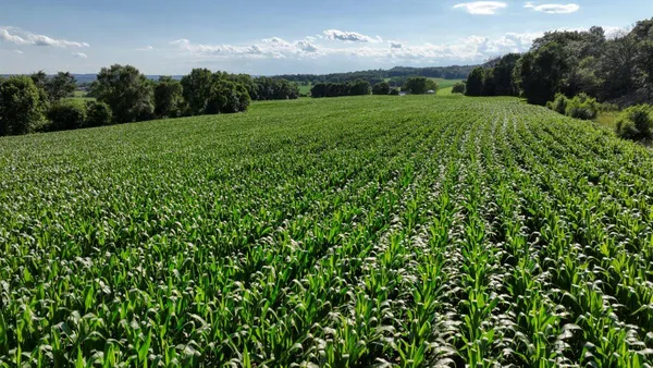 $1,450,000 | 0 Hammer Road, Sparta, WI 54656