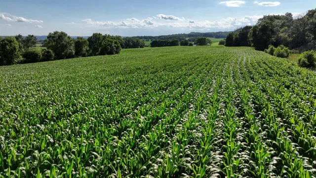 $1,476,000 | 0 Hammer Road, Sparta, WI 54656