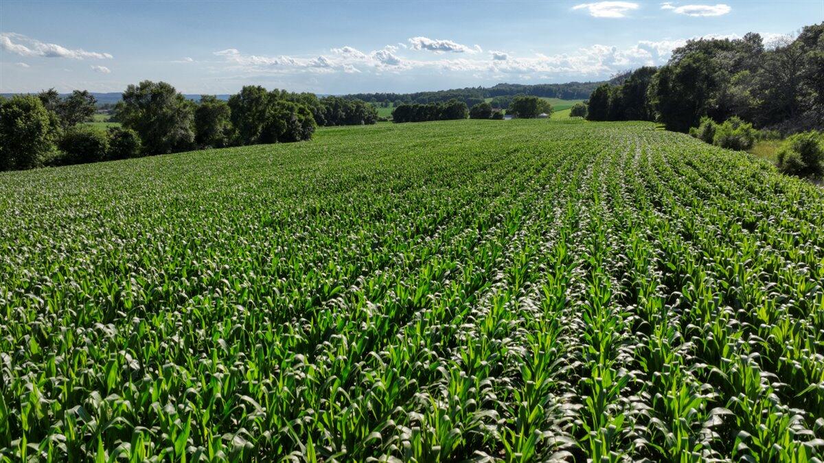 0 Hammer Road Sparta, WI 54656 - Photo 36 of 61 36-DJI_0820_36