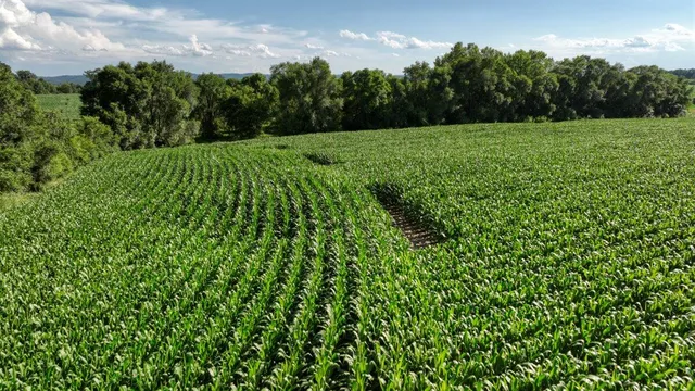 $1,476,000 | 0 Hammer Road, Sparta, WI 54656