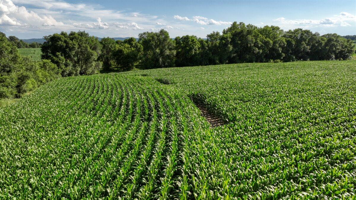 0 Hammer Road Sparta, WI 54656 - Photo 37 of 61 37-DJI_0825_37