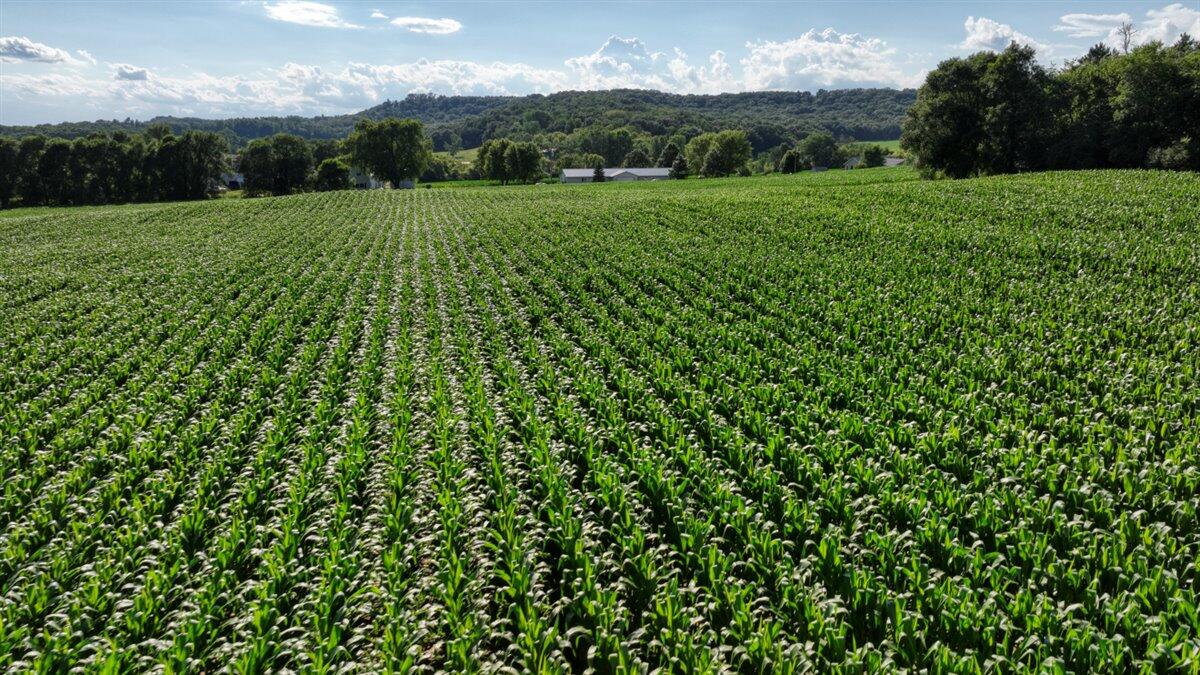 0 Hammer Road Sparta, WI 54656 - Photo 38 of 61 38-DJI_0831_38