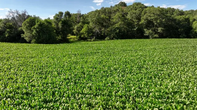 $1,476,000 | 0 Hammer Road, Sparta, WI 54656